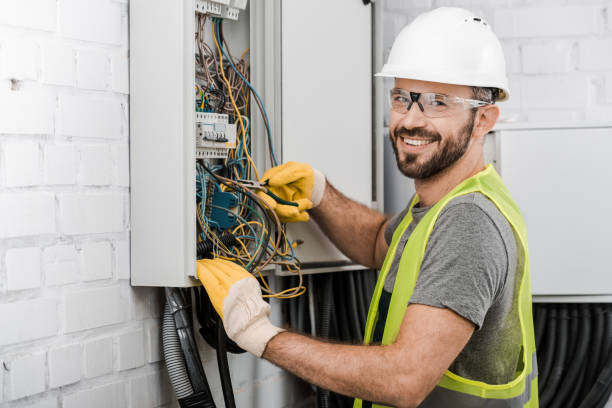 Best Electric Panel Repair  in Plainfield, IL